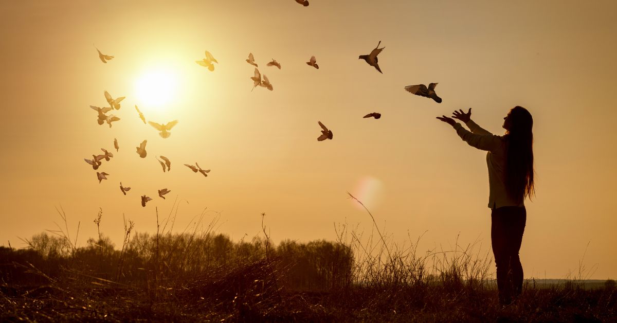 A woman builds a path forward after her child tests positive for drugs while flying pigeons at sunset.