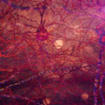 A close up of a neuron in a dark background demonstrating how alcohol affects the teenage brain.